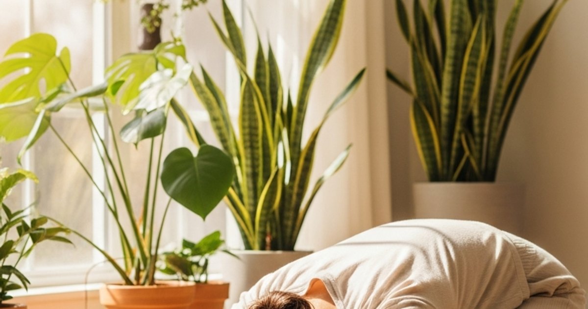 Diastasis Recti Recovery Redefined: How I Healed My Core in 12 Weeks With the Core Reconnection Protocol - Pelvic Wellness Lab